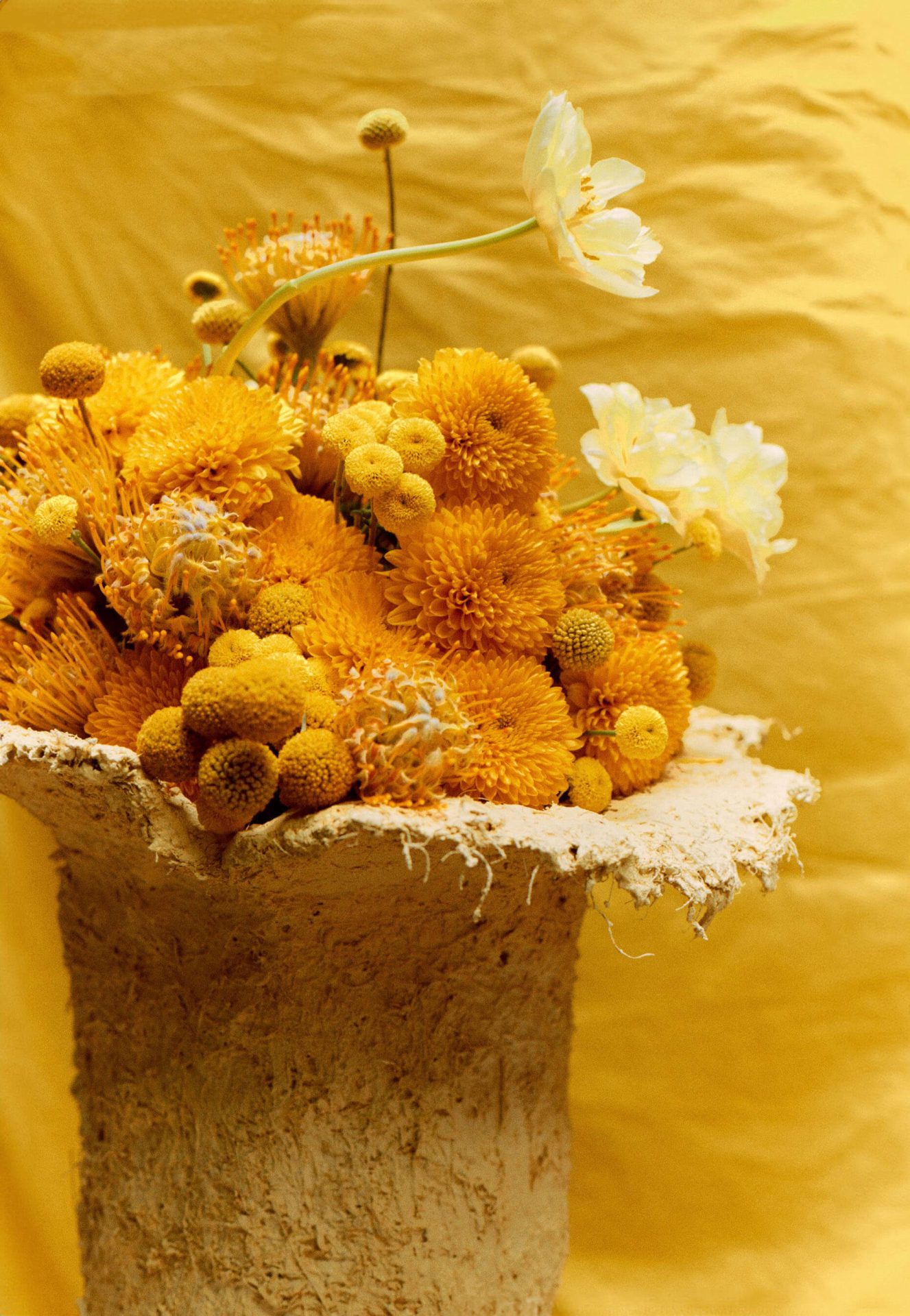 sant francesc flower market