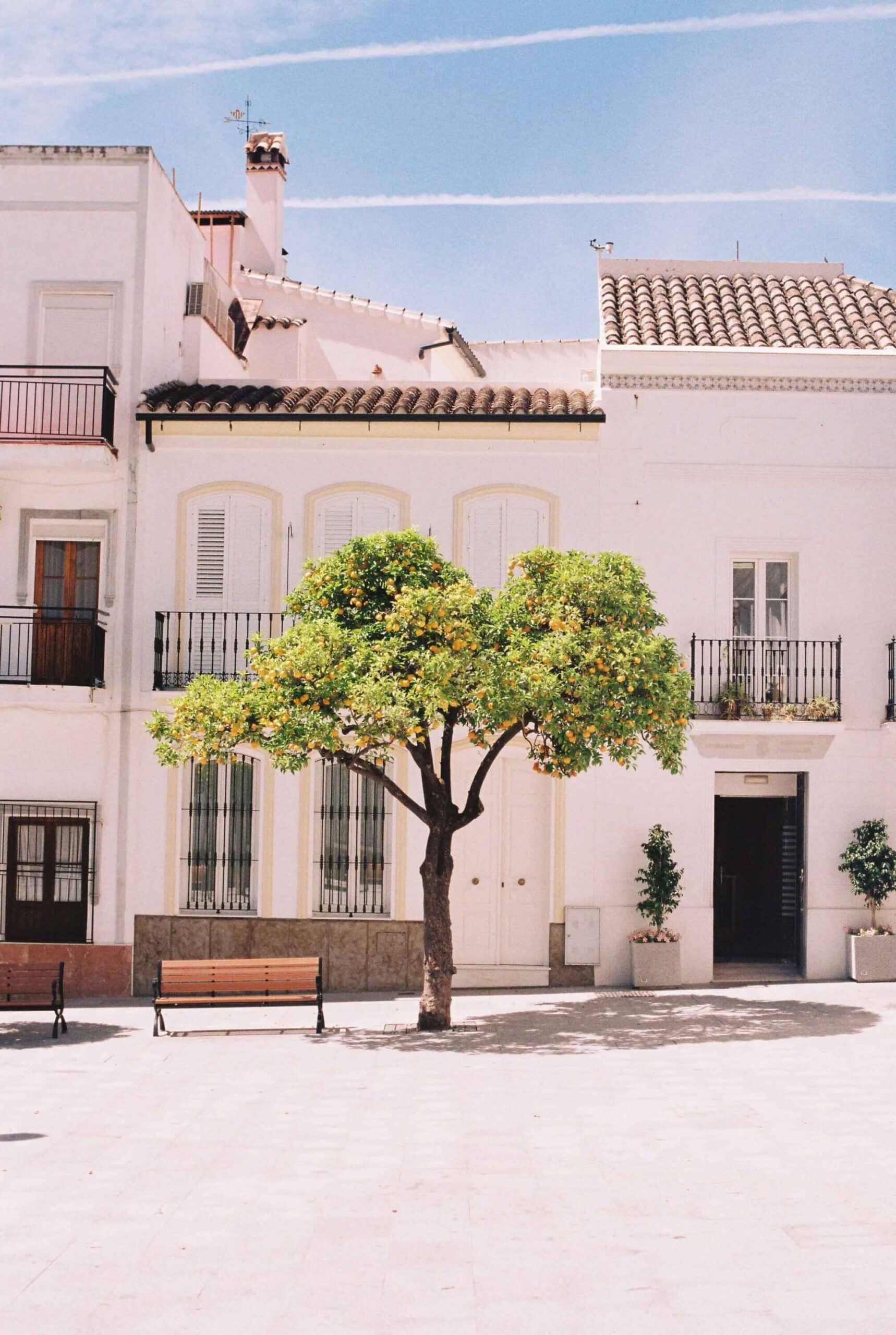 La historia detrás de cada bolso de La Portegna