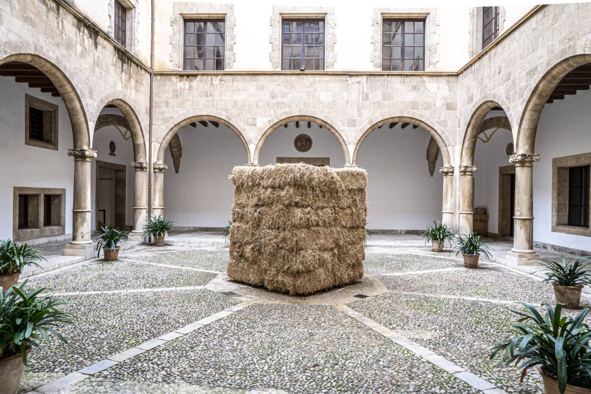 Fio, de Cildo Meireles en Estudi General Lul·lià. Noviembre, 2024 – © Bruno Daureo