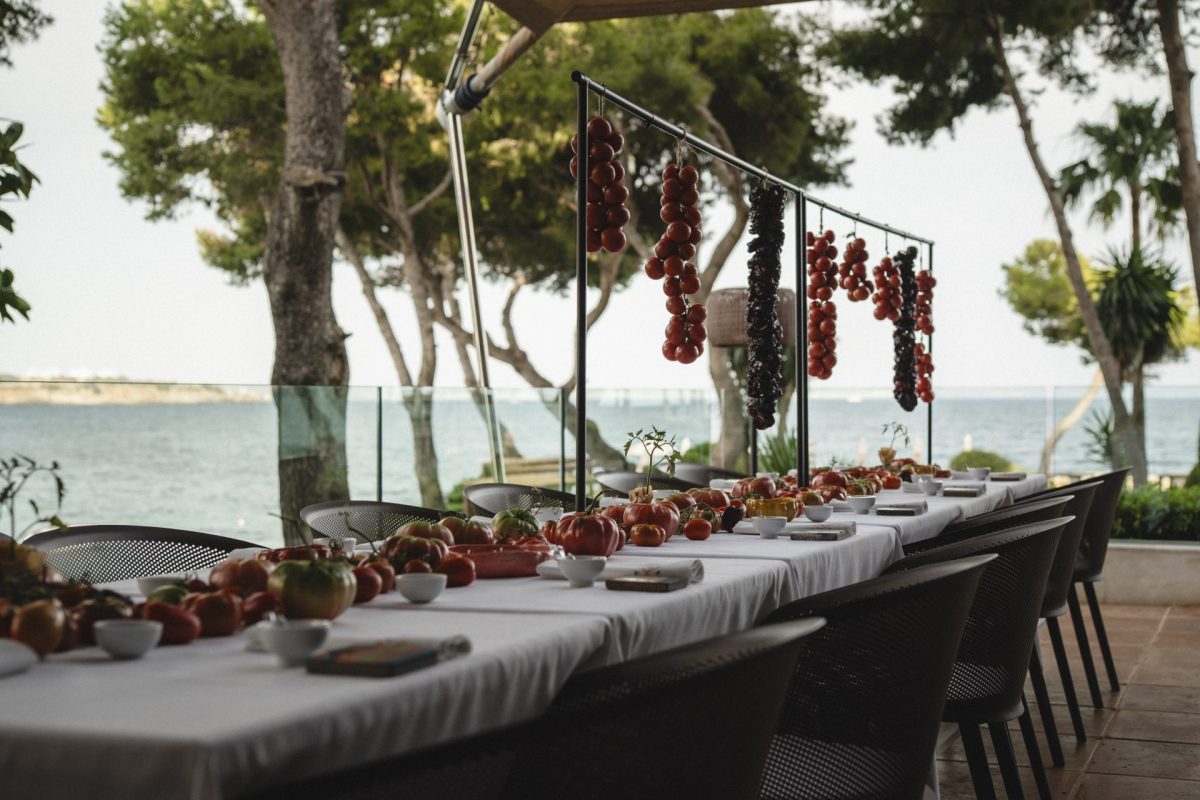 Arrels en Hotel de Mar