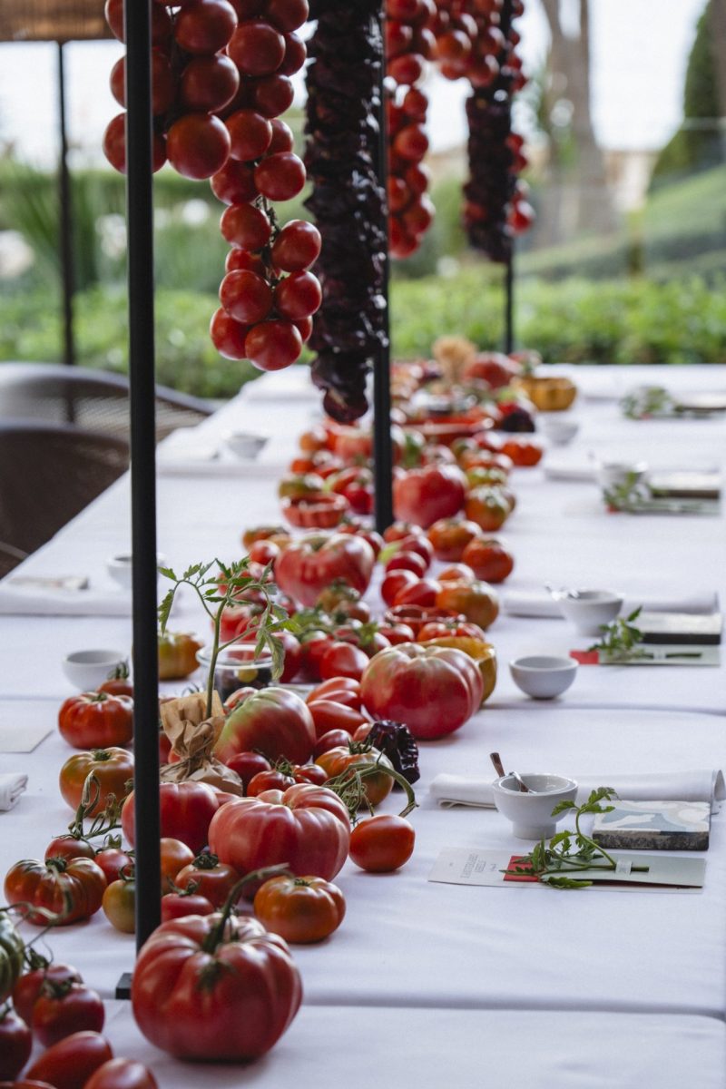 Arrels en Hotel de Mar