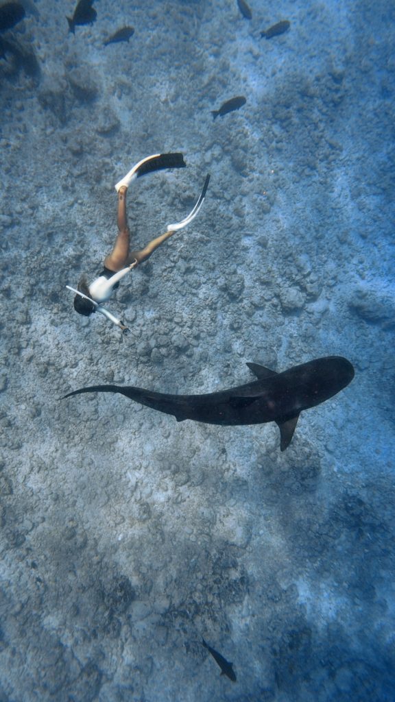 la oceanógrafa gádor muntaner