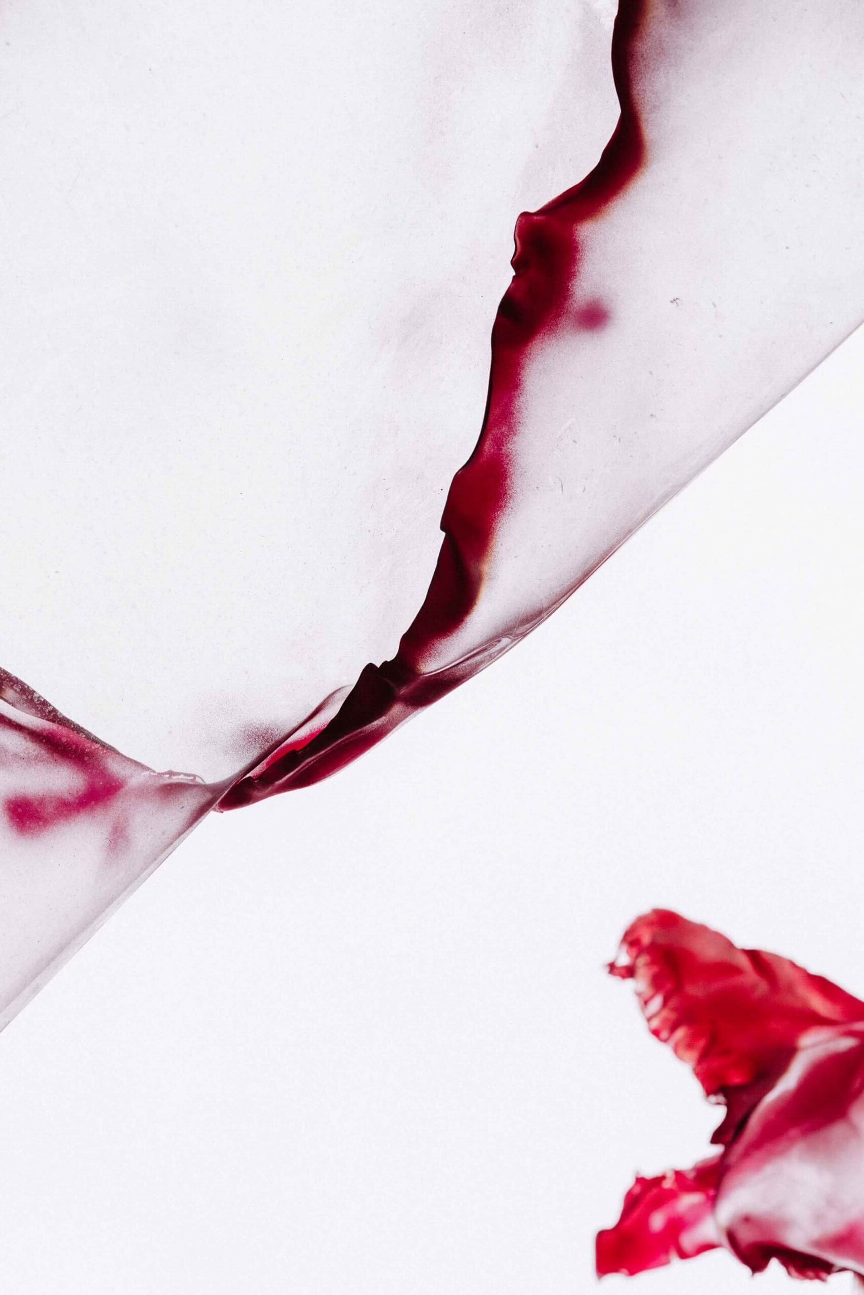 Instalación de Aljoscha y LA BIBI en Sant Francesc Hotel