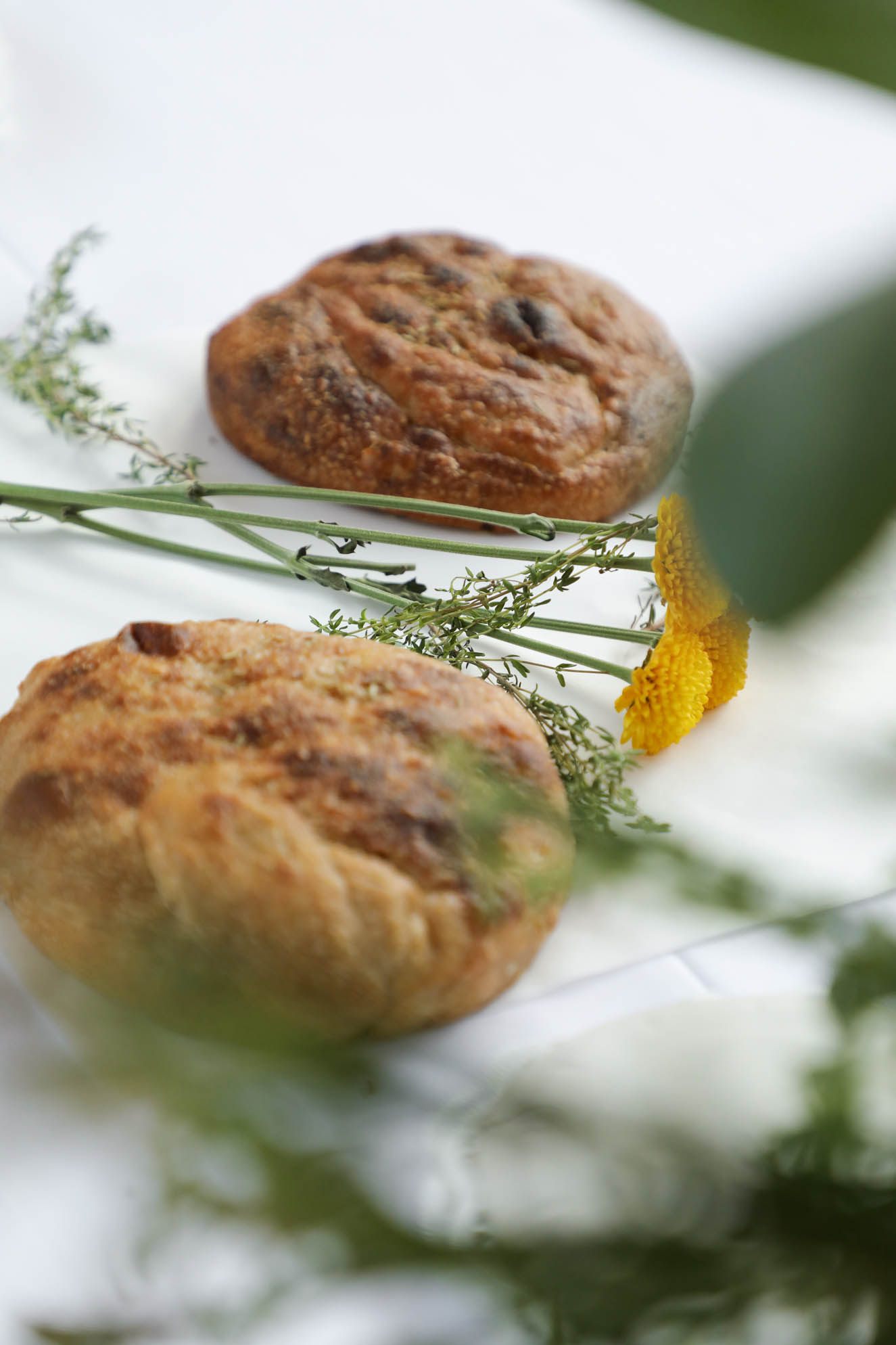 Inauguración programa de verano CCA