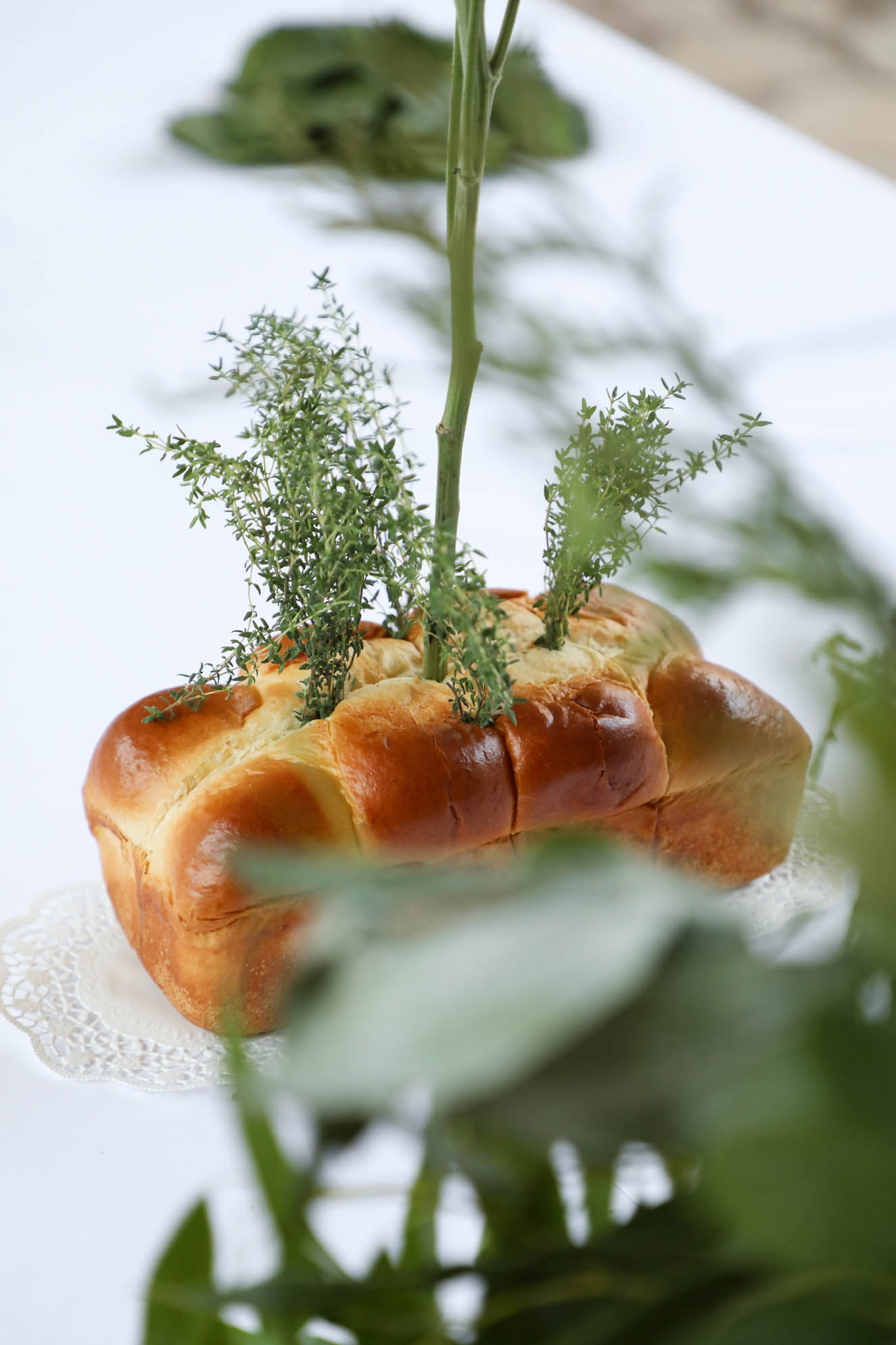 Inauguración programa de verano CCA