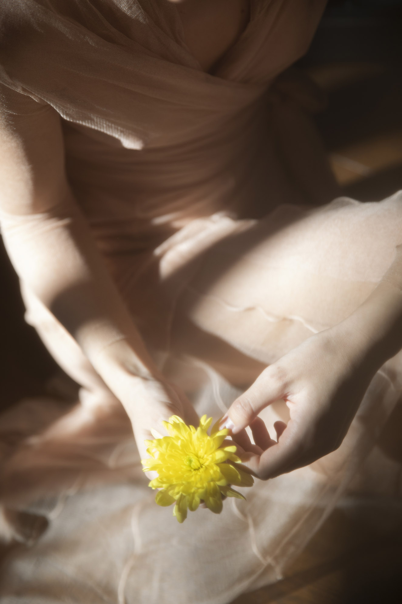 Campaña Sant Francesc Flower Market 2023