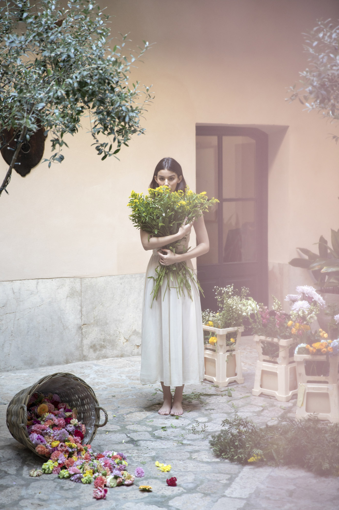 Campaña Sant Francesc Flower Market 2023