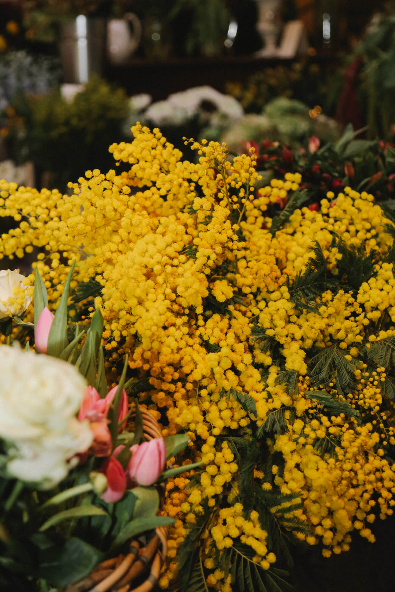 Campaña Sant Francesc Flower Market 2023
