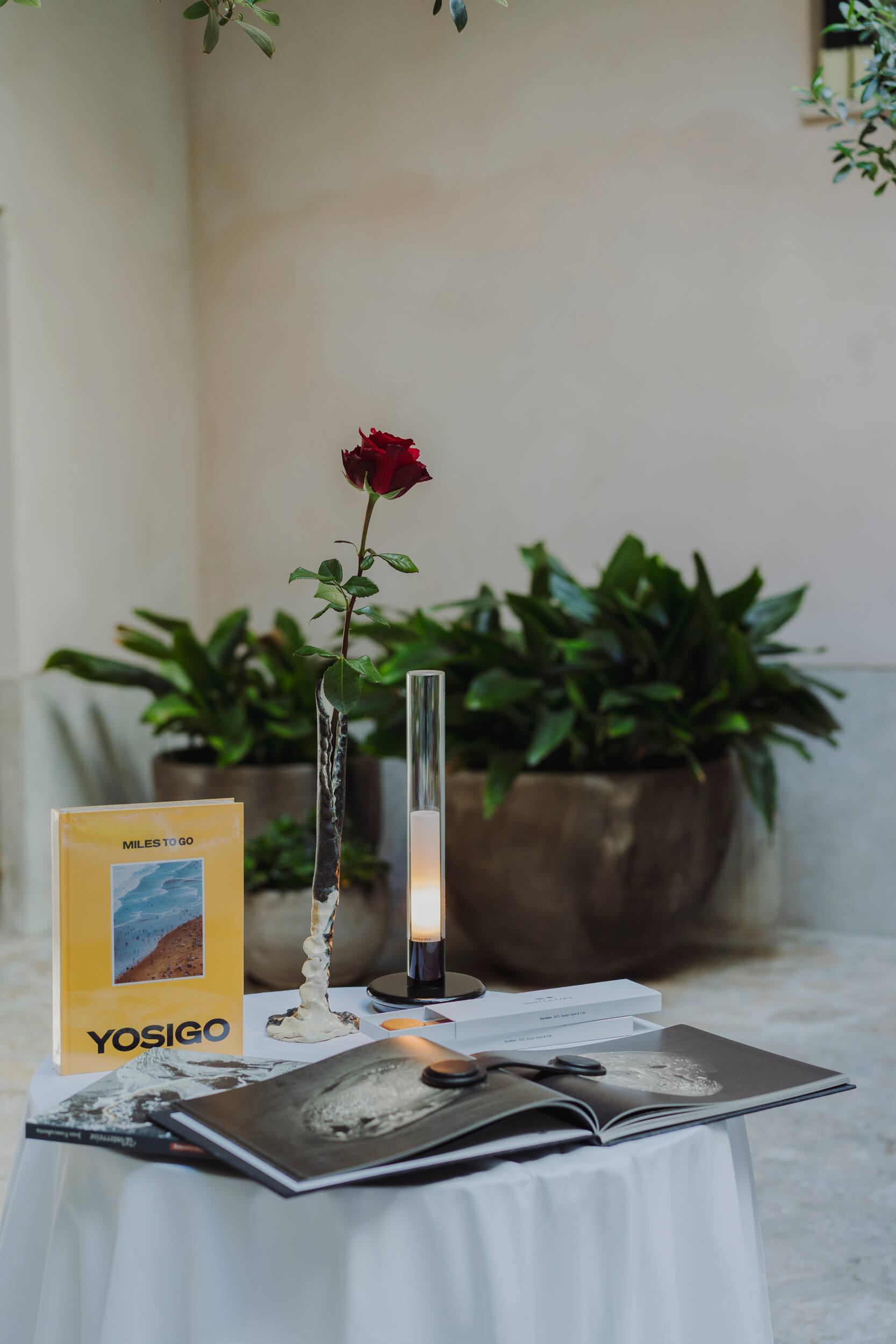 Sant Jordi en Sant Francesc Hotel